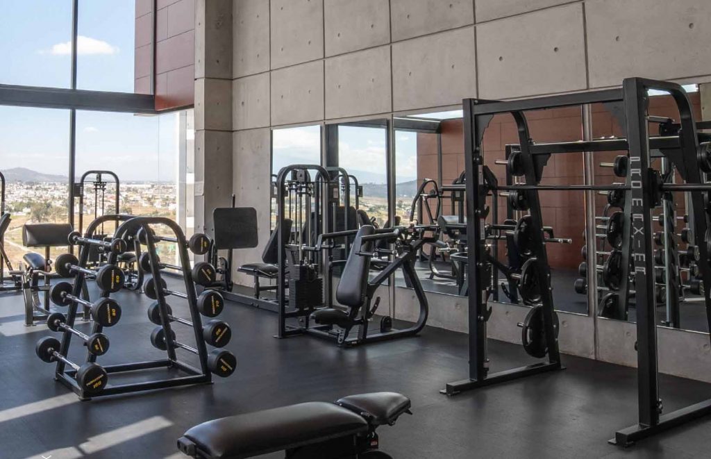 gimnasio desarrollo punto horizonte