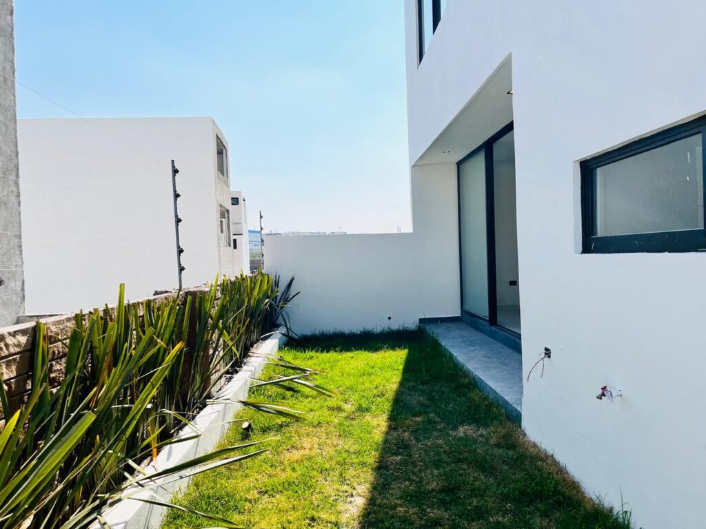 WhatsApp Image 2026-02-17 at 13.17.12